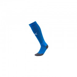 Team LIGA Socks Electric...